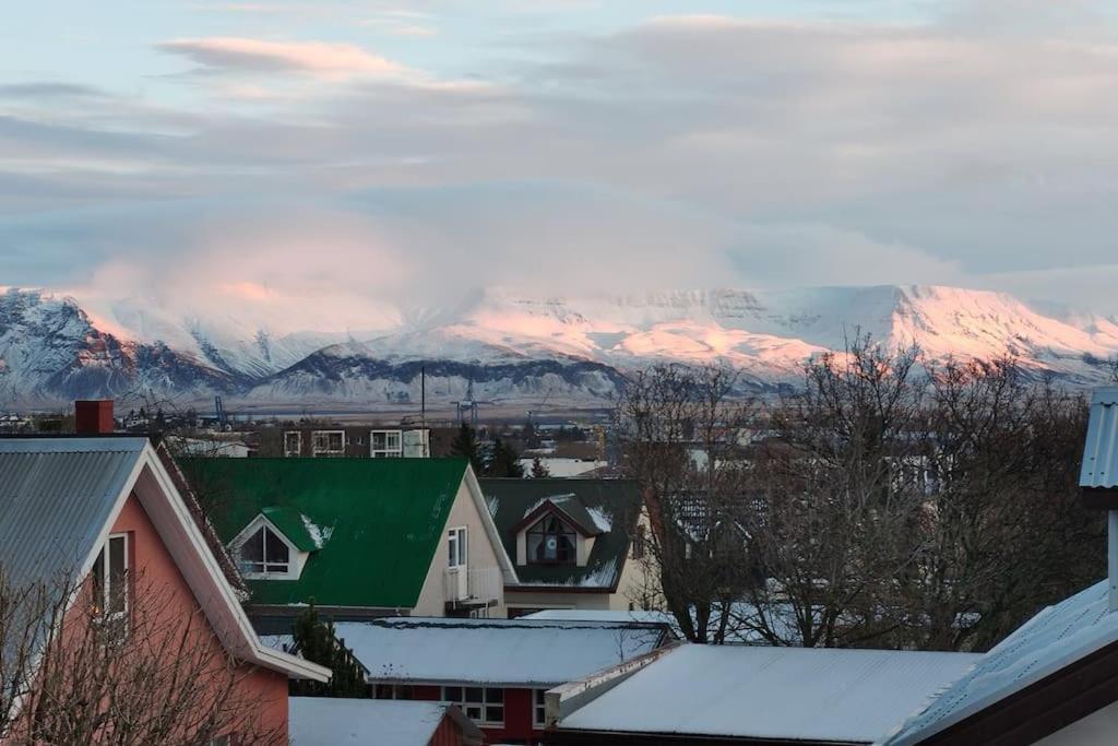 Icelandic Art Garden Villa W. Parking In Centre City Reykjavík Exteriör bild